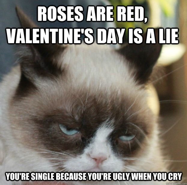 Valentine Day Memes photo 12